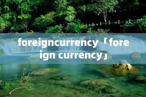 foreigncurrency「foreign currency」