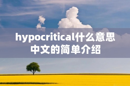 hypocritical什么意思中文的简单介绍