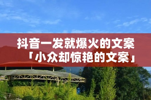 抖音一发就爆火的文案「小众却惊艳的文案」