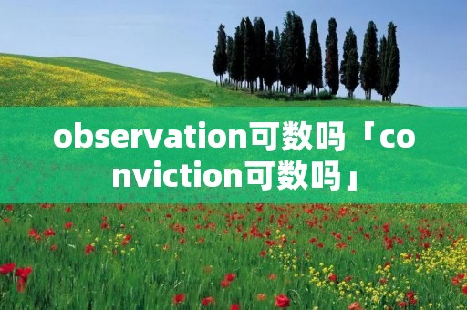 observation可数吗「conviction可数吗」
