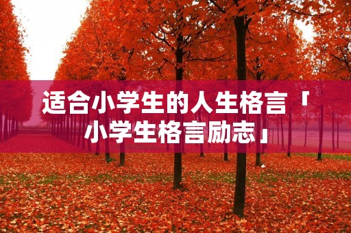 适合小学生的人生格言「小学生格言励志」