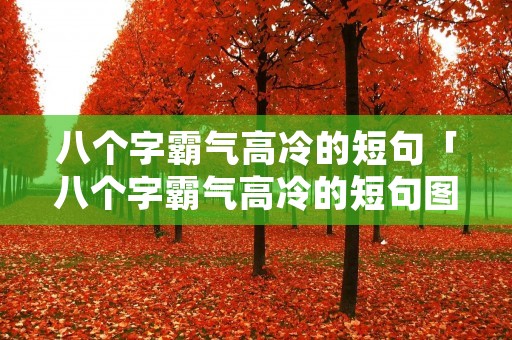 八个字霸气高冷的短句「八个字霸气高冷的短句图片」