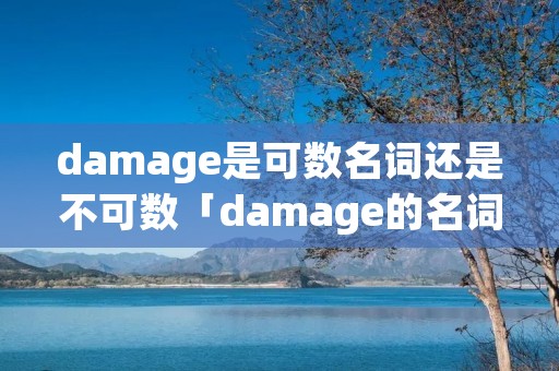 damage是可数名词还是不可数「damage的名词是什么」