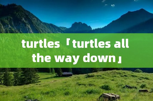 turtles「turtles all the way down」