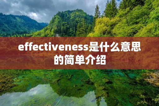 effectiveness是什么意思的简单介绍