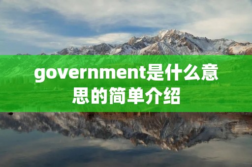 government是什么意思的简单介绍