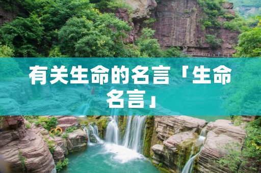有关生命的名言「生命名言」