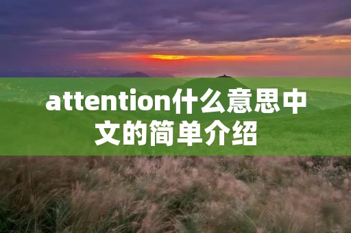 attention什么意思中文的简单介绍