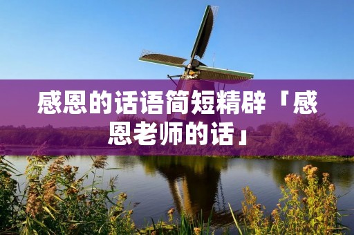 感恩的话语简短精辟「感恩老师的话」