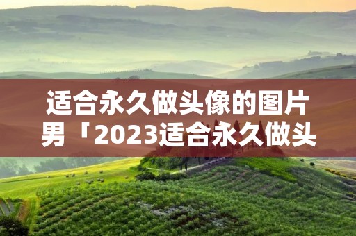 适合永久做头像的图片男「2023适合永久做头像的图片男」