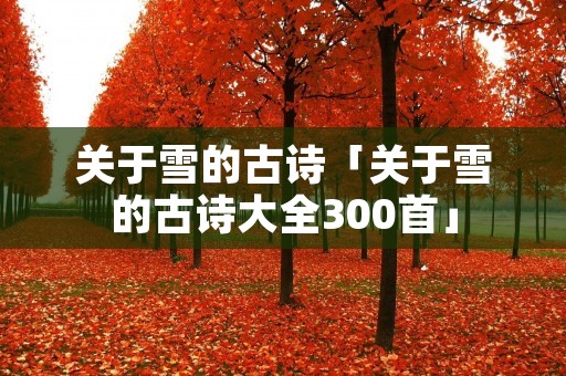 关于雪的古诗「关于雪的古诗大全300首」