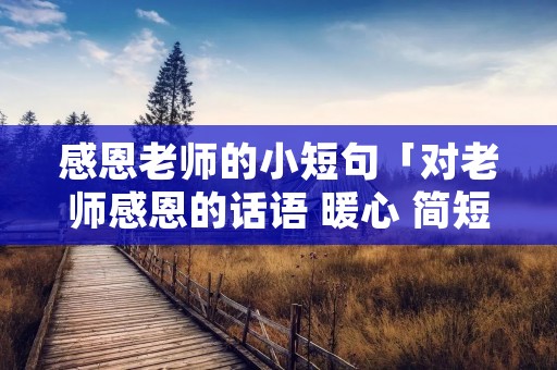 感恩老师的小短句「对老师感恩的话语 暖心 简短」