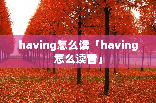 having怎么读「having怎么读音」