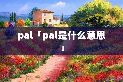 pal「pal是什么意思」