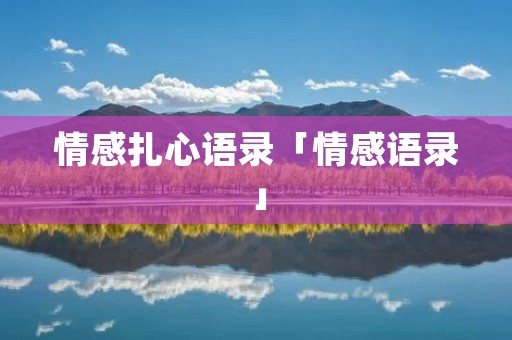 情感扎心语录「情感语录」