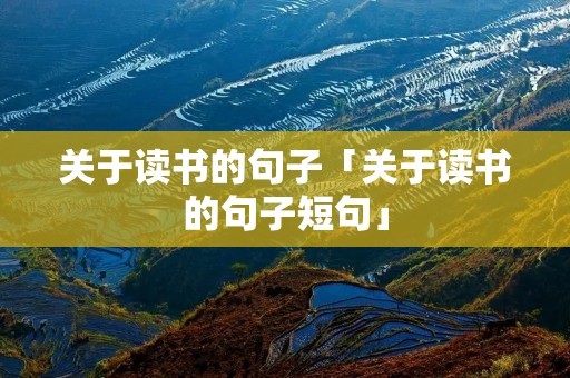 关于读书的句子「关于读书的句子短句」