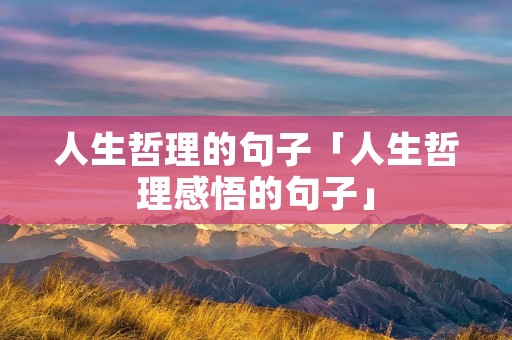 人生哲理的句子「人生哲理感悟的句子」 人生哲理的句子「人生哲理感悟的句子」