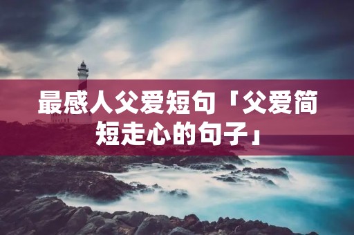 最感人父爱短句「父爱简短走心的句子」