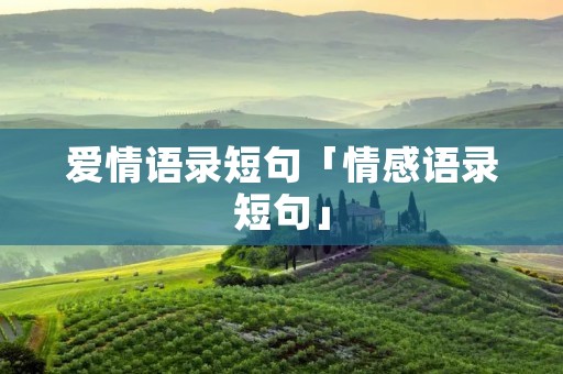 爱情语录短句「情感语录短句」