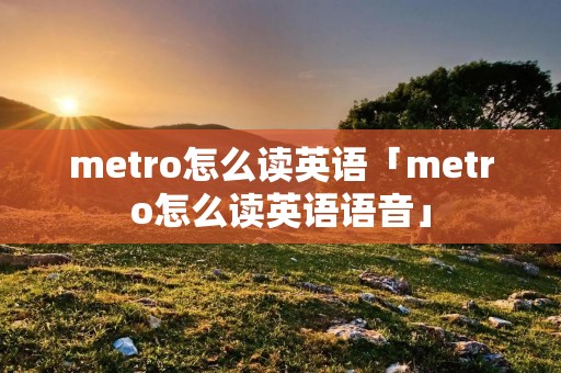 metro怎么读英语「metro怎么读英语语音」