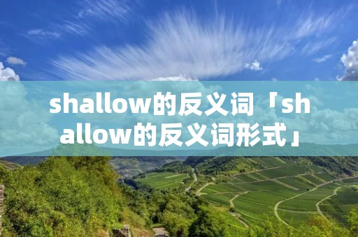 shallow的反义词「shallow的反义词形式」