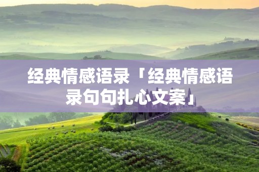 经典情感语录「经典情感语录句句扎心文案」