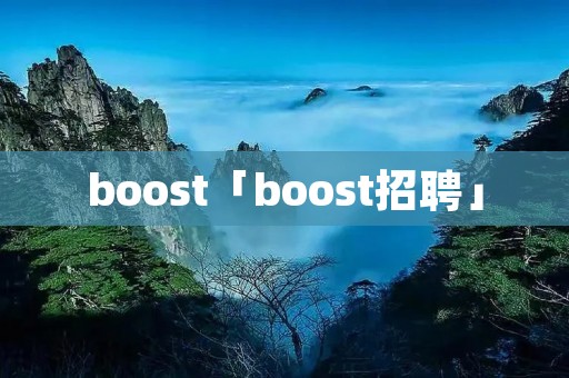 boost「boost招聘」
