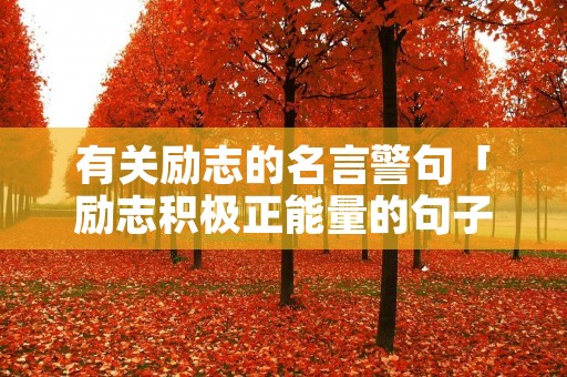 有关励志的名言警句「励志积极正能量的句子」