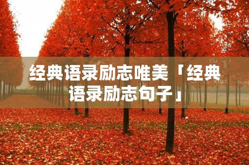 经典语录励志唯美「经典语录励志句子」