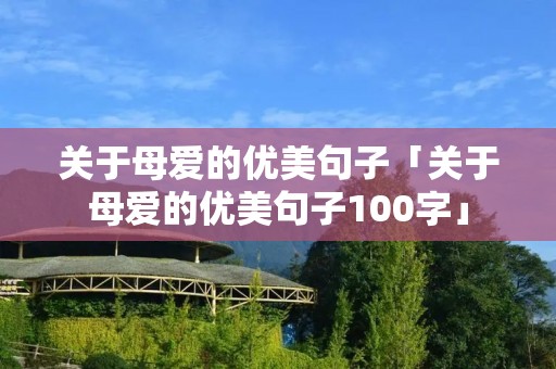 关于母爱的优美句子「关于母爱的优美句子100字」