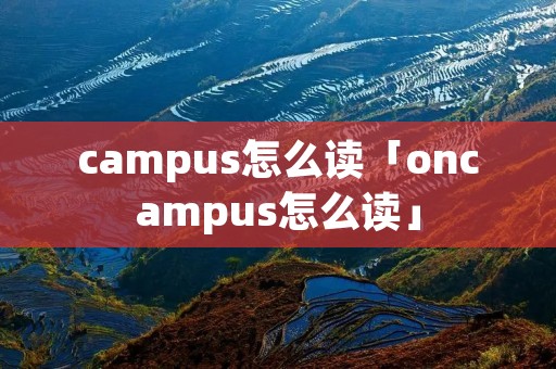 campus怎么读「oncampus怎么读」 campus怎么读「oncampus怎么读」