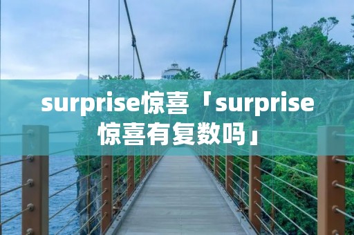 surprise惊喜「surprise惊喜有复数吗」