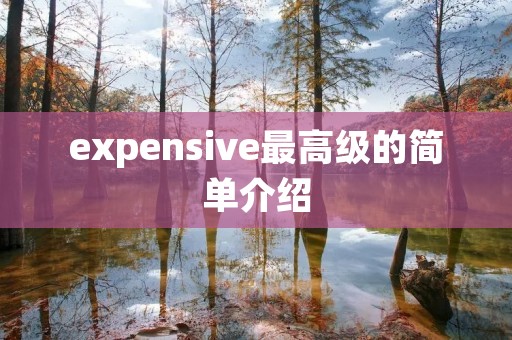 expensive最高级的简单介绍