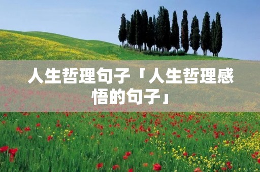 人生哲理句子「人生哲理感悟的句子」 人生哲理句子「人生哲理感悟的句子」