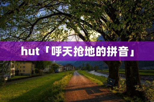 hut「呼天抢地的拼音」
