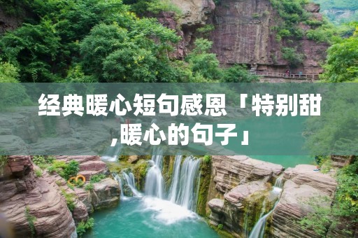 经典暖心短句感恩「特别甜,暖心的句子」