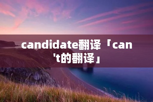 candidate翻译「can't的翻译」