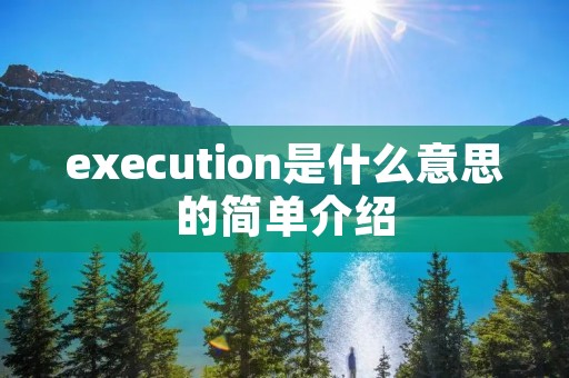 execution是什么意思的简单介绍
