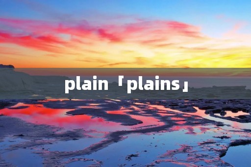 plain「plains」