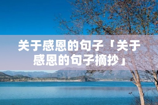 关于感恩的句子「关于感恩的句子摘抄」