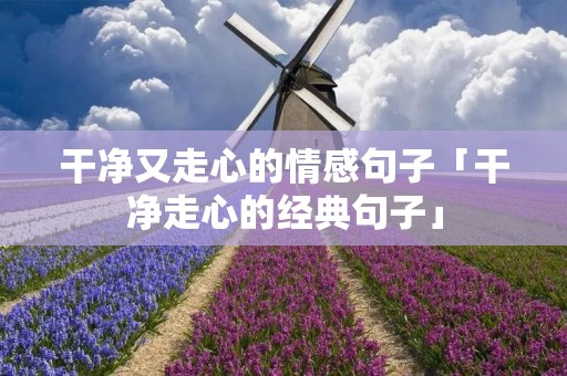 干净又走心的情感句子「干净走心的经典句子」