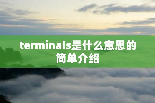 terminals是什么意思的简单介绍