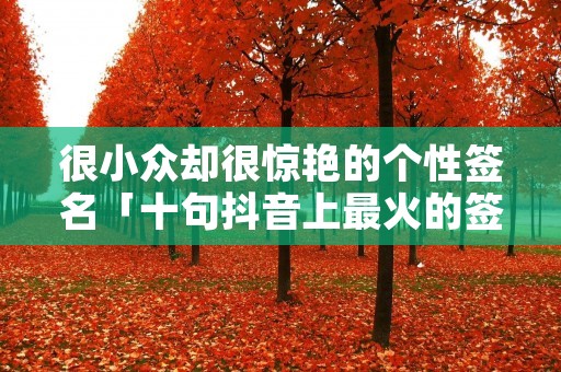 很小众却很惊艳的个性签名「十句抖音上最火的签名句子」