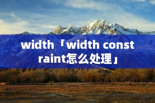 width「width constraint怎么处理」