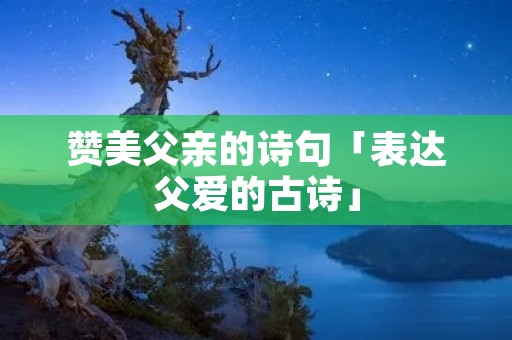 赞美父亲的诗句「表达父爱的古诗」