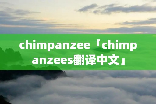 chimpanzee「chimpanzees翻译中文」 chimpanzee「chimpanzees翻译中文」