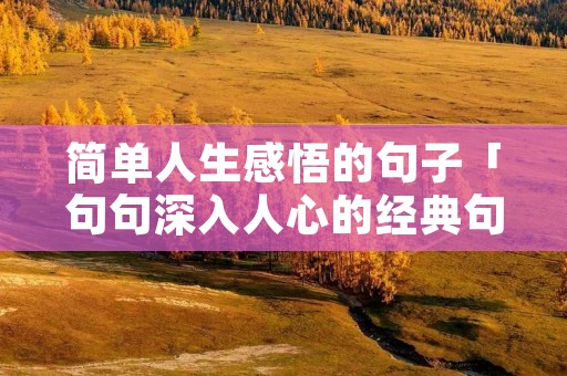 简单人生感悟的句子「句句深入人心的经典句子」