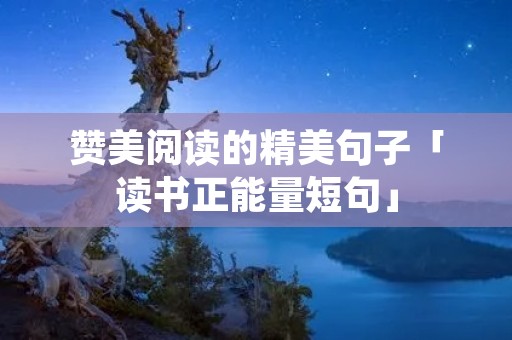 赞美阅读的精美句子「读书正能量短句」