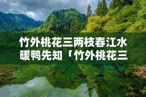 竹外桃花三两枝春江水暖鸭先知「竹外桃花三两枝春江水暖鸭先知诗配画」