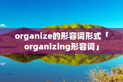 organize的形容词形式「organizing形容词」